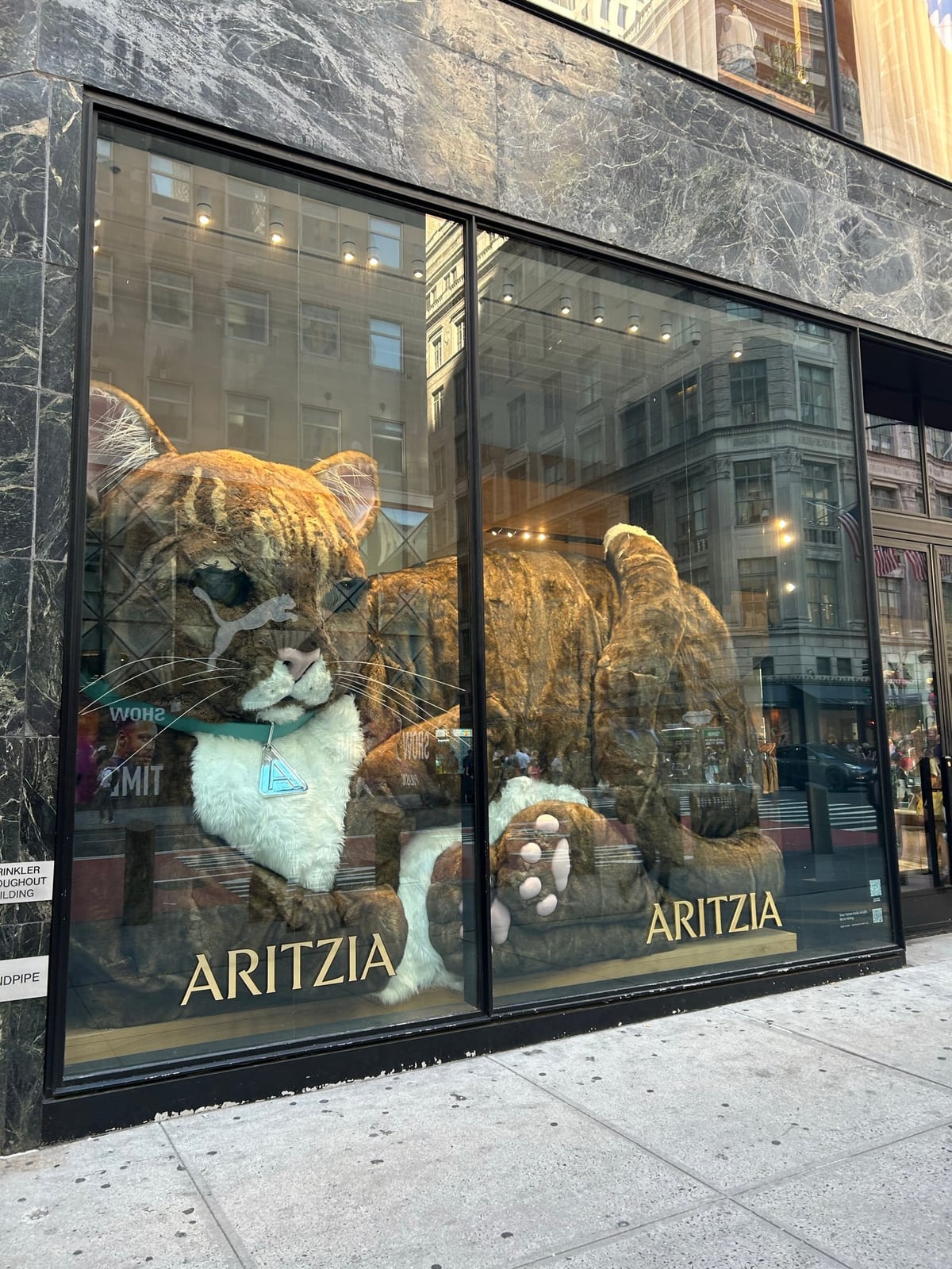 Aritzia 5番街店の入口近くにある大きなウィンドウディスプレイ