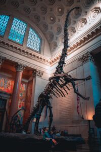アメリカ自然史博物館