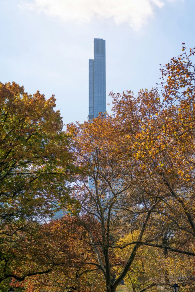 秋の始まりを感じるニューヨークの公園